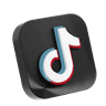 TikTok icon